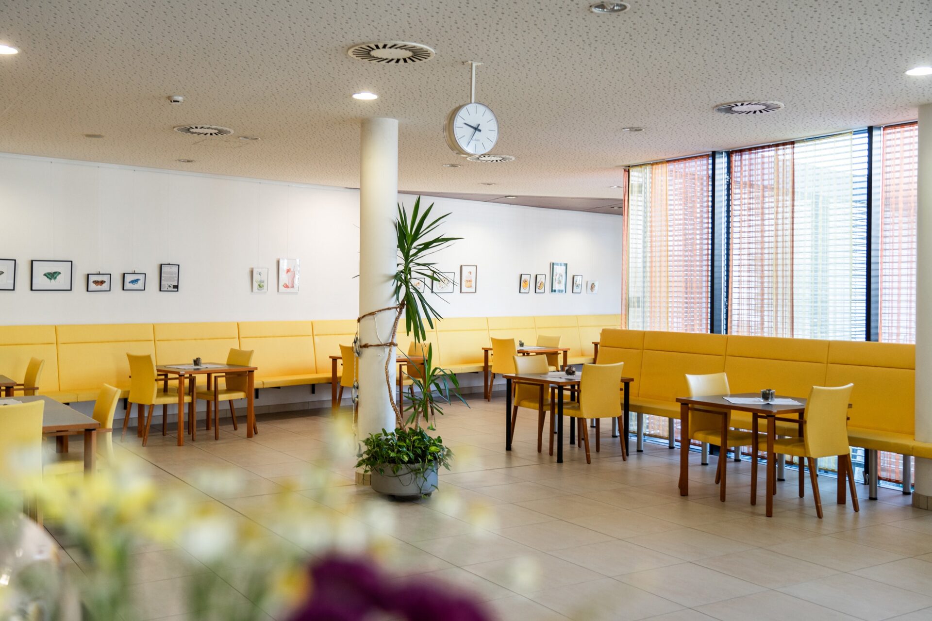 Fassade des Wohn- und Pflegeheims Lienz mit Balkonen und Blumenschmuck bei Tageslicht.